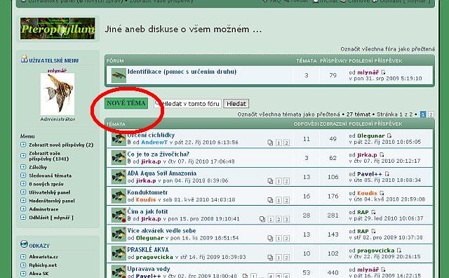 printscreen CCK fóra.jpg