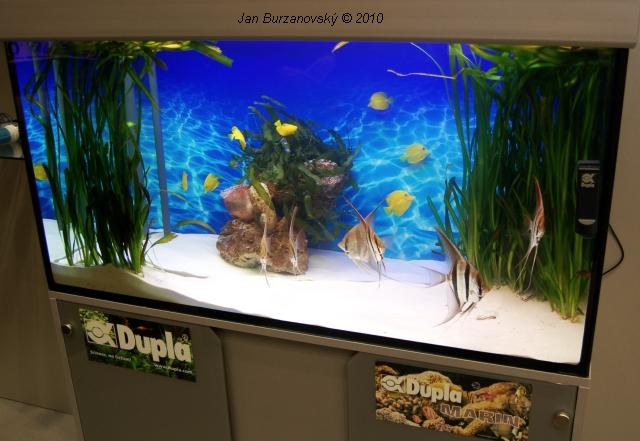 INTERZOO2010 07.JPG