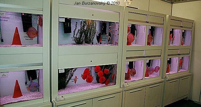 INTERZOO2010 16.JPG