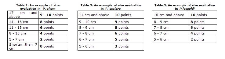 Tab. size of body.jpg