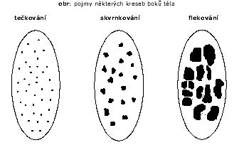 pojmy některých kresebných znaků.jpg