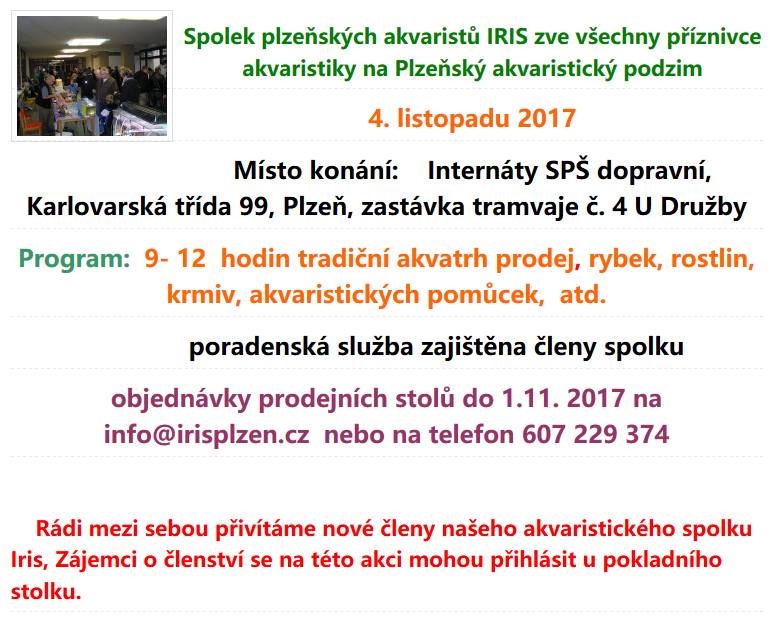 Plzakvpodz2017-JPG.jpg